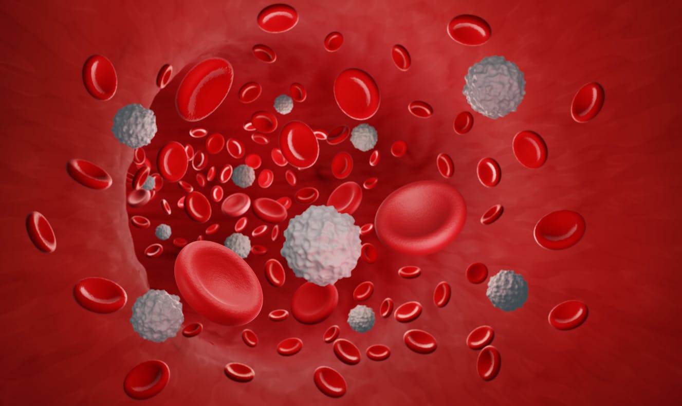 Leucocytes (globules blancs) : quel est leur rôle ? Comment interpréter leur taux ?