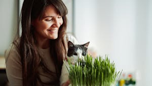 Pourquoi donner de l'herbe à chat à son félin ? 