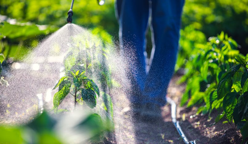 Quels sont les dangers des pesticides pour la santé ?