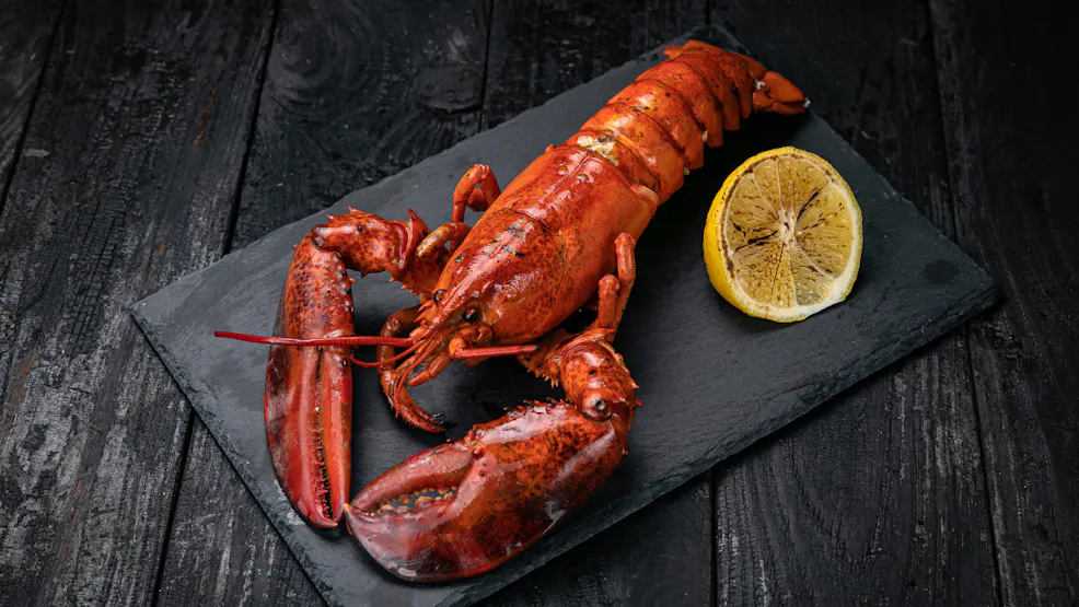 Homard, tous les bienfaits santé de ce crustacé à pinces | Santé Magazine