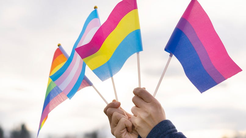 Le drapeau de la pansexualité