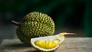 Durian (dourian) : tous les bienfaits santé de ce fruit peu connu