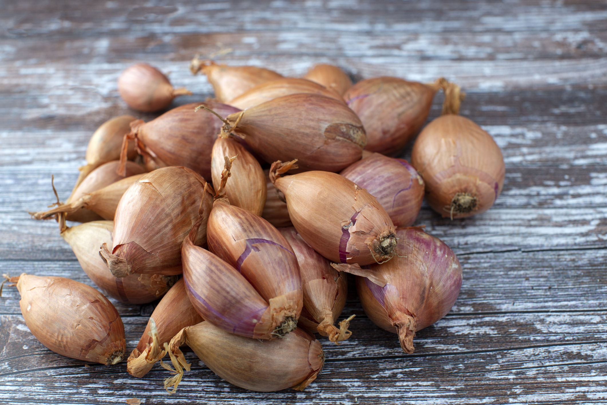 Échalote bienfaits santé, conservation, recettes Santé Magazine