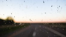 Vous retrouvez de moins en moins d’insectes écrasés sur votre voiture ? C’est mauvais signe pour la planète…