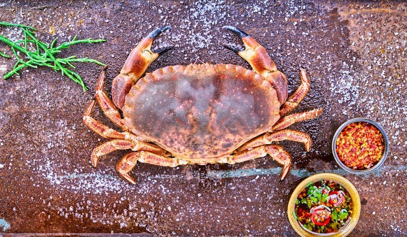 Les bienfaits du crabe : un aliment minceur !