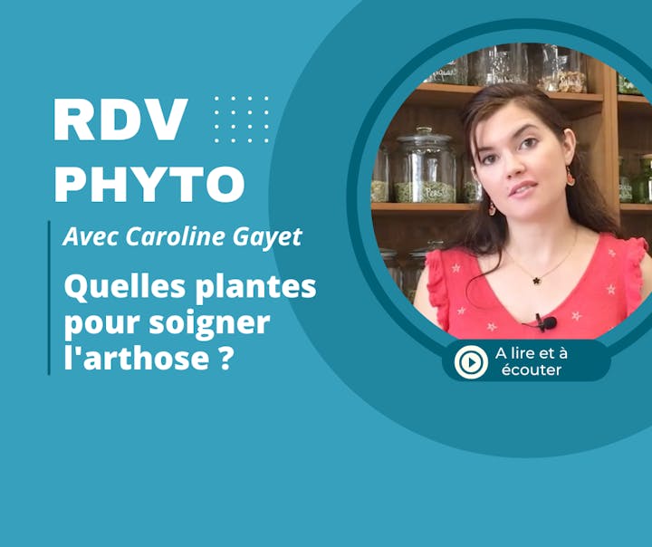 Quelles plantes pour soigner l'arthrose ?