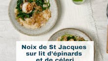 Noix de Saint-Jacques sur lit d’épinards et de céleri