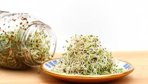 6 bonnes raisons de manger de l'alfalfa