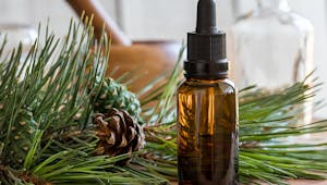 L'huile essentielle de pin sylvestre, contre la toux d'irritation