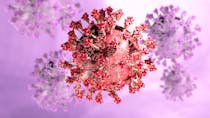 Des chercheurs français découvrent un nouveau virus impliqué dans une hépatite