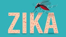Tout savoir sur le Zika : transmission, zones à risque, symptômes, traitements