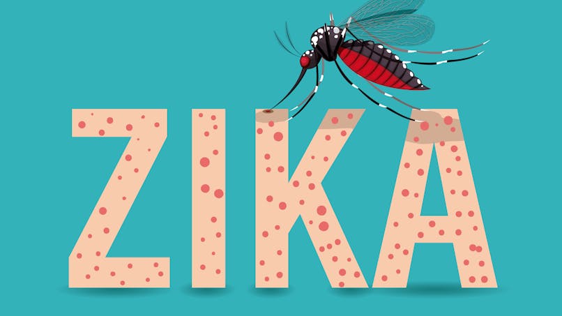 Transmission du virus Zika par le moustique