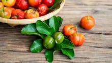 Acérola : les bienfaits d’un fruit concentré en vitamine C