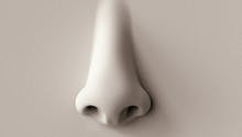 Un nez artificiel vegan créé par des scientifiques
