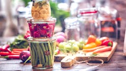 Aliments fermentés et probiotiques : manger des bactéries est bénéfique pour la santé