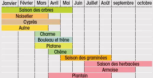 Calendrier des pollens