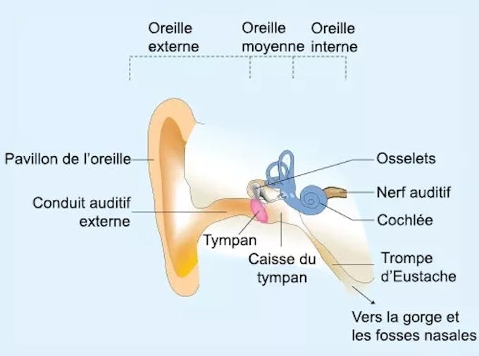Otoscope Oreille + 5 Embouts Santé Médical Medecine Tympan Auditif ORL