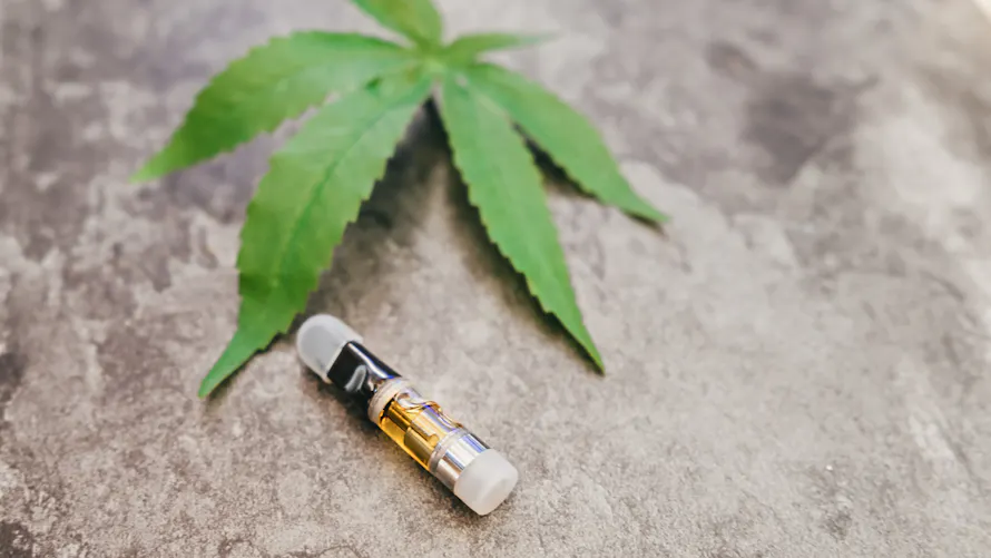 Les produits base de cannabis de synthse bientt interdits en France | Sant Magazine Les produits base de cannabis de synthse bientt interdits en France | Sant Magazine
