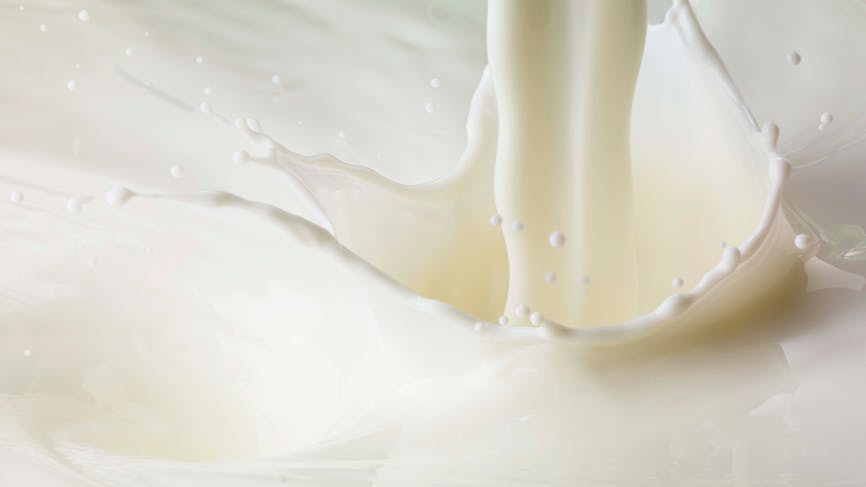 Dans quelle mesure le lait peut-il faire grossir et pourquoi ? 