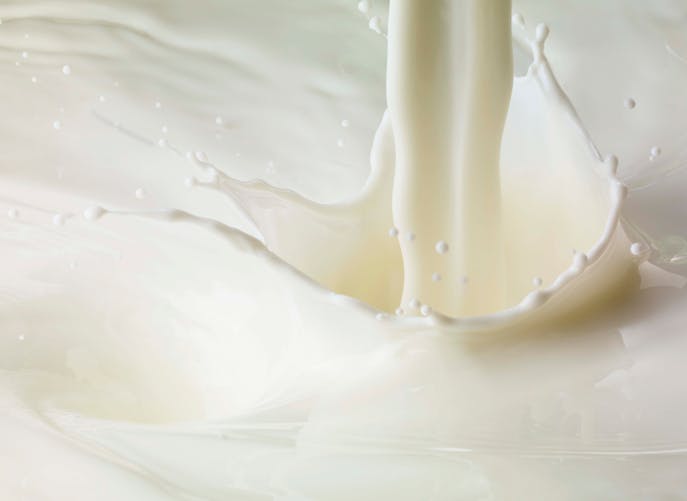 Le lait fait-il grossir ? Tout savoir sur cet aliment