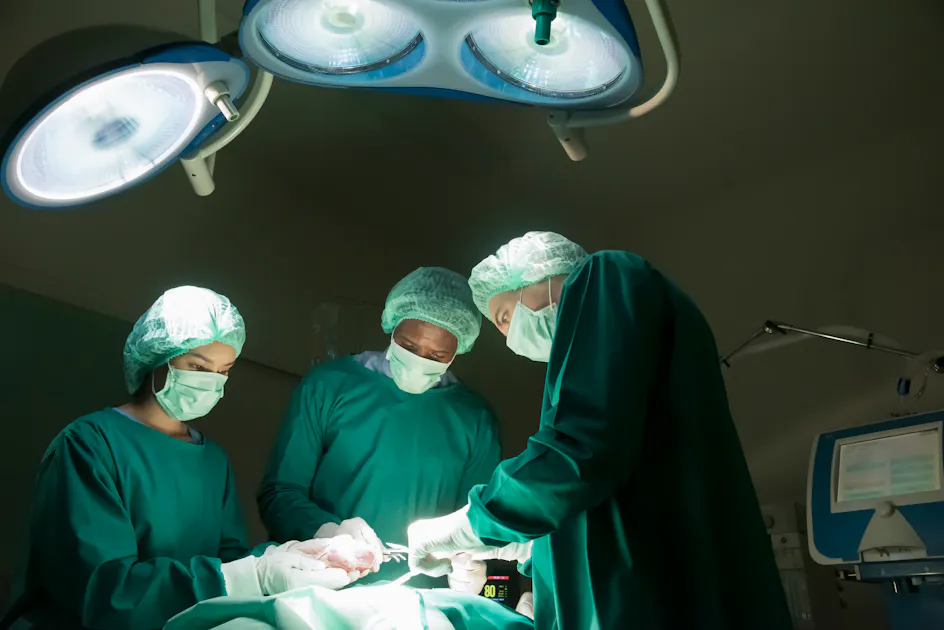 De l’espoir après la réussite d’une transplantation d’un rein de porc ...