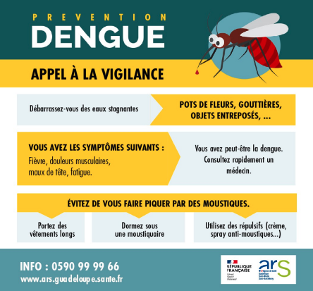 Une le Fran aise Touch e Par Une pid mie De Dengue Sant Magazine