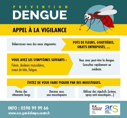 Infographie dengue moustique