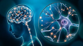 Neurotransmetteur : définition, rôle, maladies liées