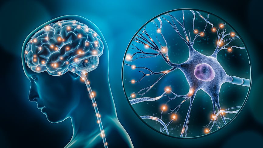 Stimulation ou activité de cerveau humain avec l’illustration de rendu 3D de plan rapproché de neurone. 