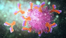 Immunité adaptative : rôle, mécanisme, c’est quoi ?
