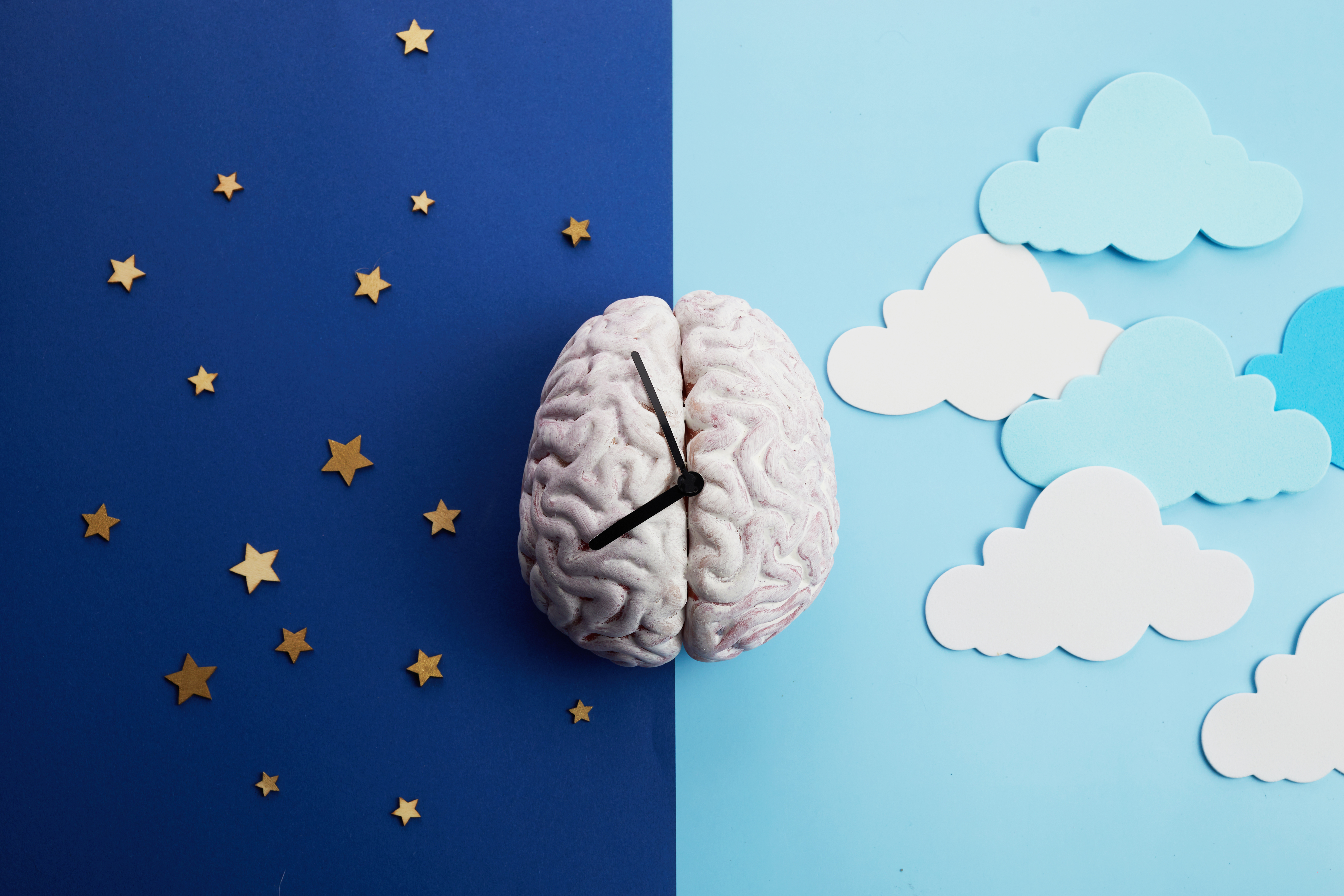 Cycles du sommeil tout savoir sur les différentes phases de sommeil