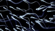 Saviez-vous que le microbiote du sperme avait un impact sur l'infertilité masculine ?
