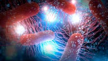 E.coli : deux enfants gravement intoxiqués