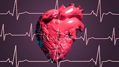 Des chercheurs créent des mini-cœurs humains synthétiques pour traiter les maladies cardiaques