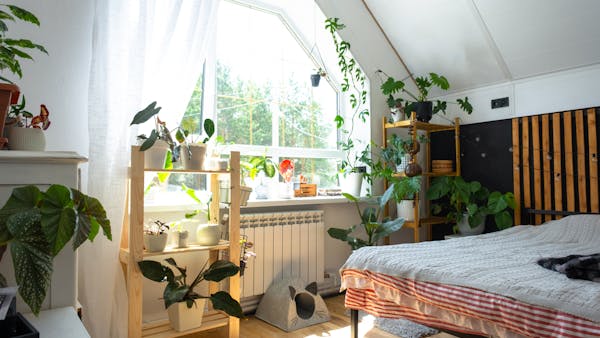 Quelles plantes vertes mettre dans ma chambre pour bien dormir ?