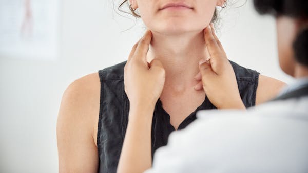 Quel est le rôle de la glande thyroïde ?