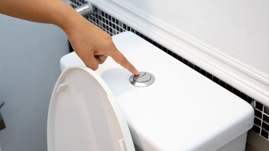 Voici Une Nouvelle Bonne Raison De Tirer La Chasse D eau Des Toilettes voici-une-nouvelle-bonne-raison-de-tirer-la-chasse-d-eau-des-toilettes