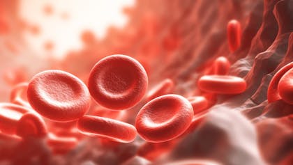 Maladie de Vaquez : symptômes, traitements de cet excès de globules ...