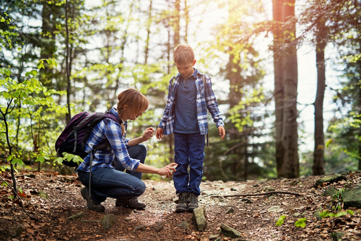 Which essential oils work against ticks?