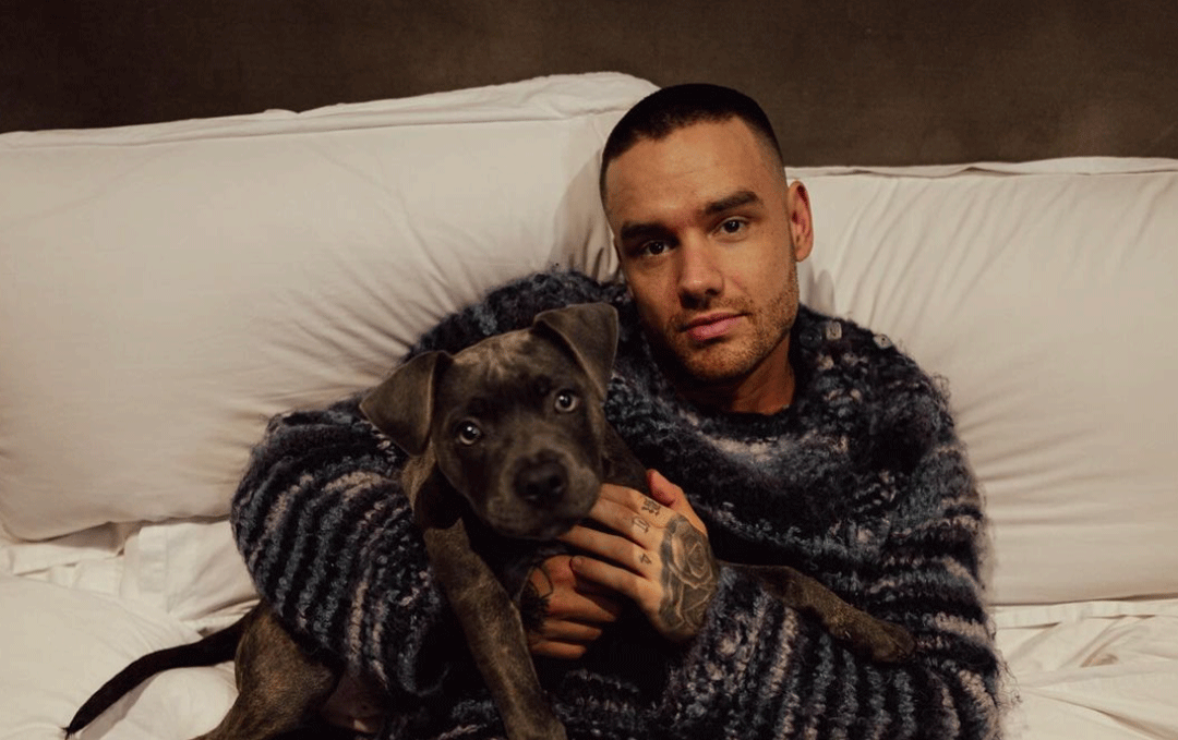 Mort de Liam Payne : l'autopsie du chanteur des One Direction dévoile un  dangereux mélange de drogues | Santé Magazine