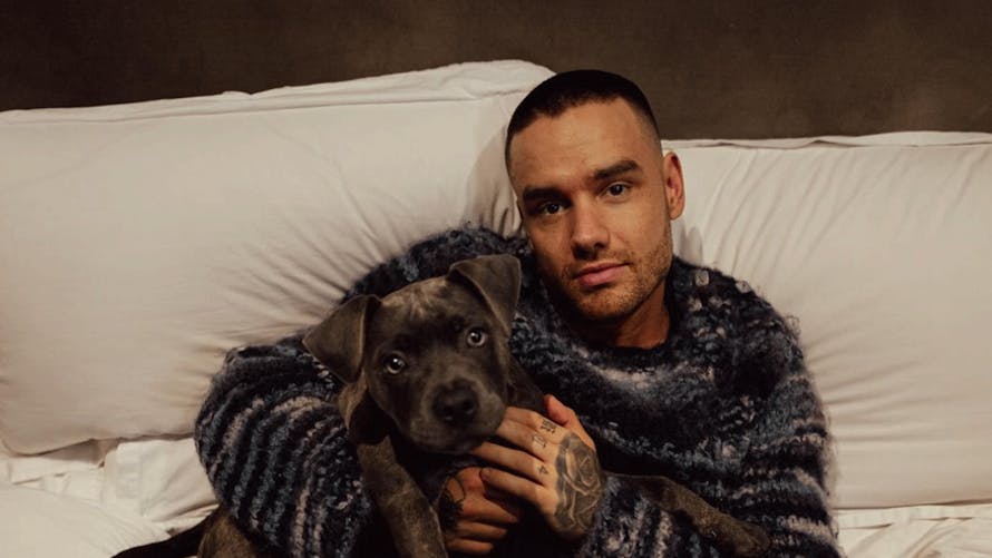 Mort de Liam Payne : l'autopsie du chanteur des One Direction dévoile un  dangereux mélange de drogues | Santé Magazine