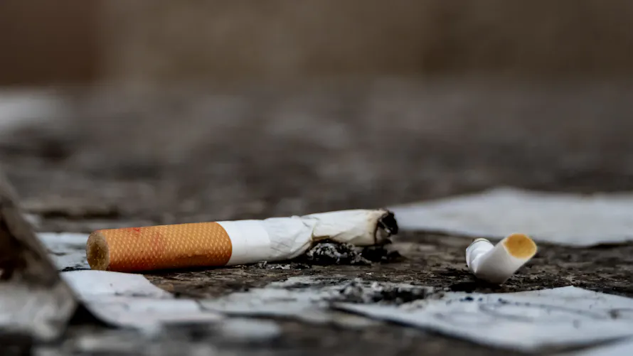 Tabac : la cigarette en net recul, le vapotage gagne du terrain | Sant Magazine Tabac : la cigarette en net recul, le vapotage gagne du terrain | Sant Magazine
