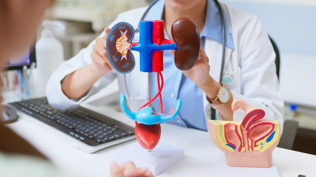 Uroscanner : ce que vous devez retenir sur cet examen | Santé Magazine