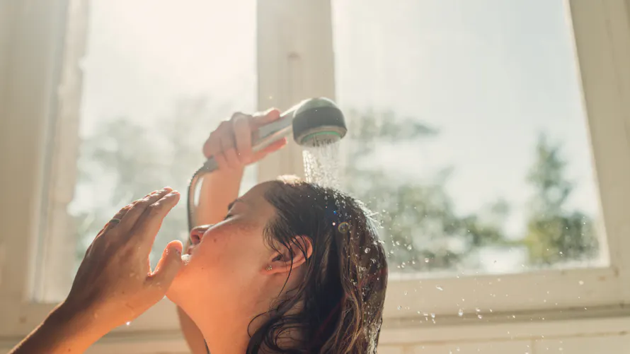 Magazine SYSTEME D appareil a douche pour la santé du porc, entonnoir Magazine SYSTEME D appareil a douche pour la santé du porc, entonnoir