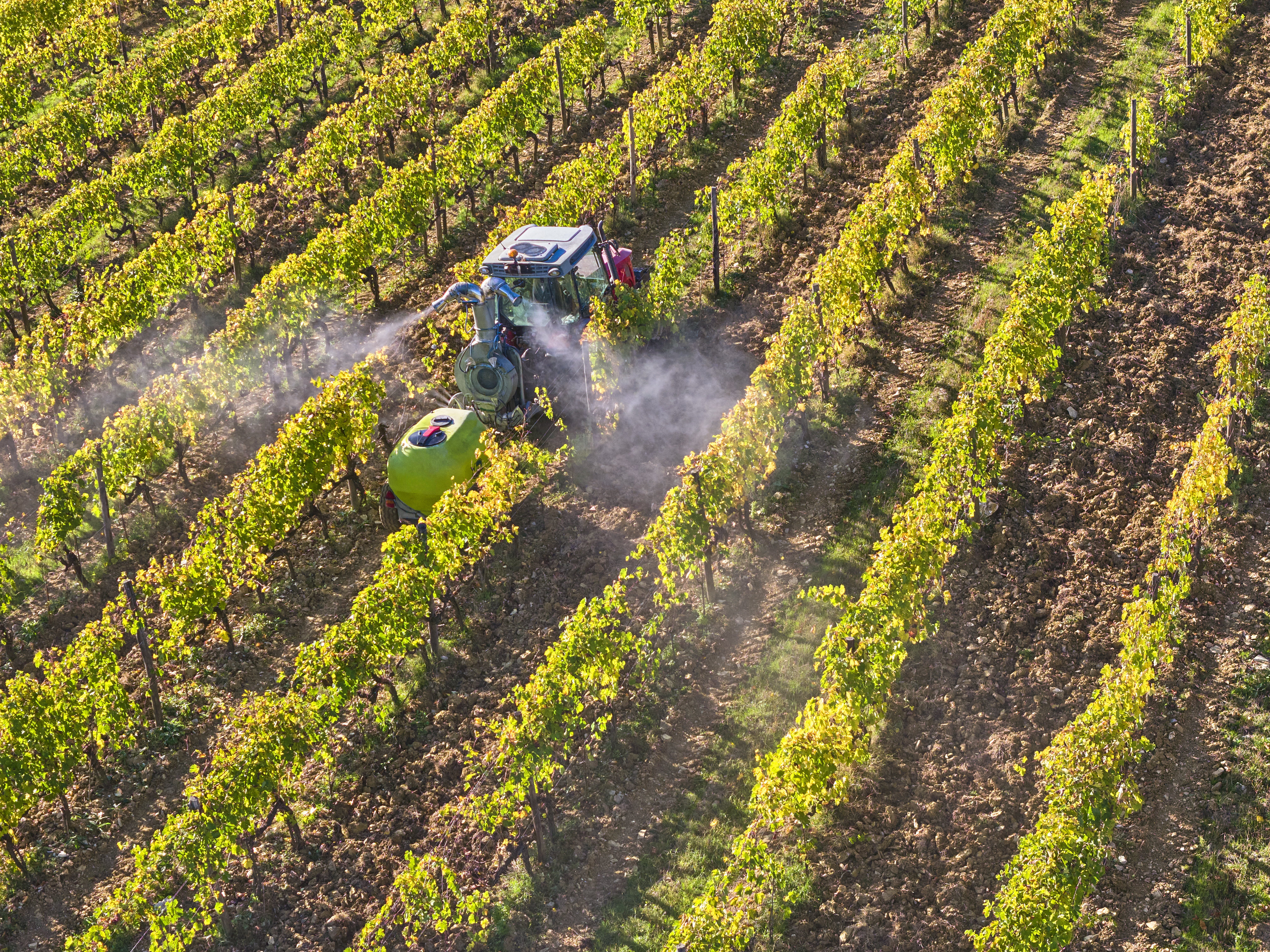 Ce pesticide peut doubler le risque de maladie de Parkinson