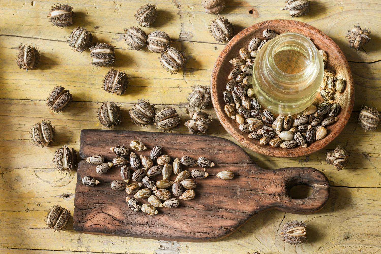 Pour la première fois, la France commercialise un antidote contre la ricine, un poison mortel