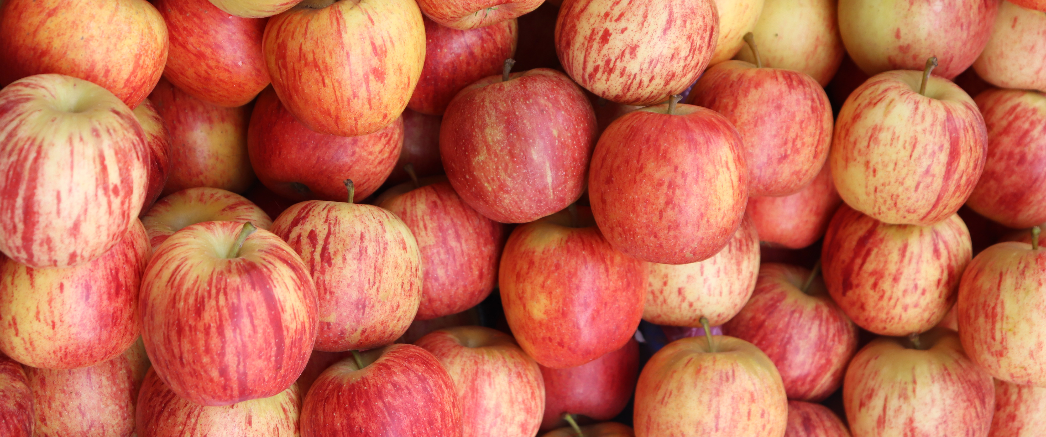 Pommes et pesticides : quelles variétés choisir pour limiter les toxines ?