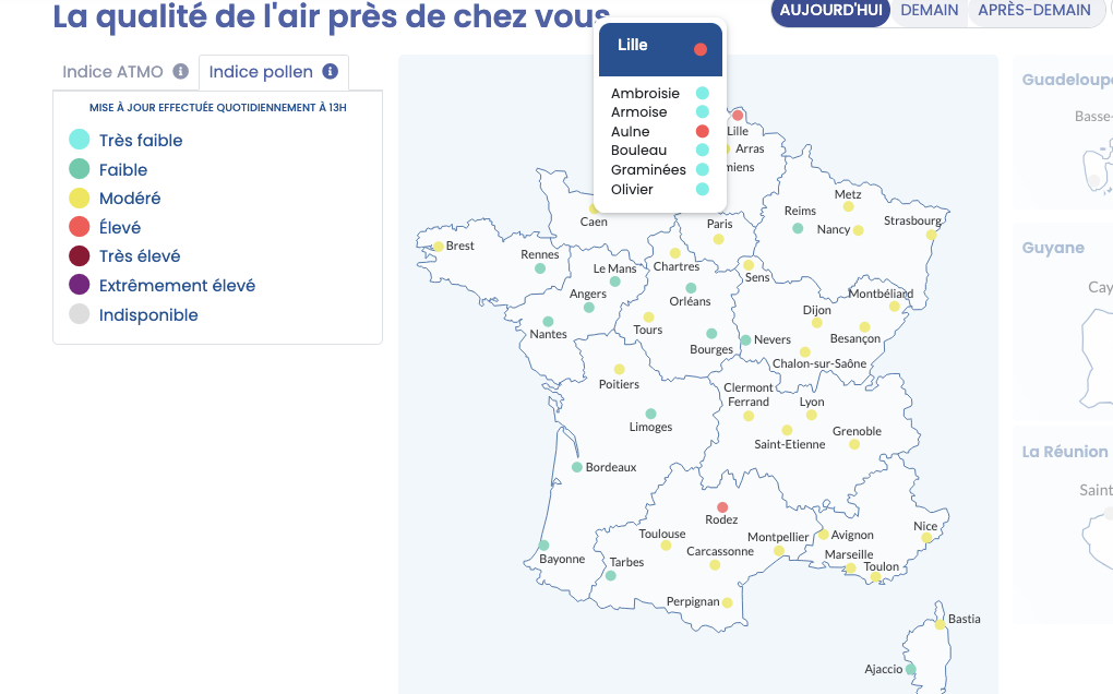 Carte de France montrant les niveaux de pollens le 13 mars 2026 avec focus sur Lille.