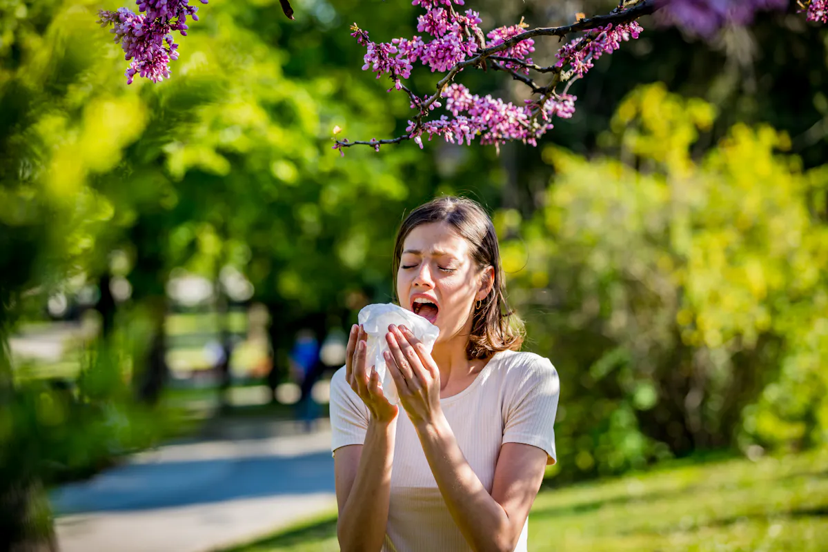 Pollen : quel est le risque pour ce mois de septembre ?