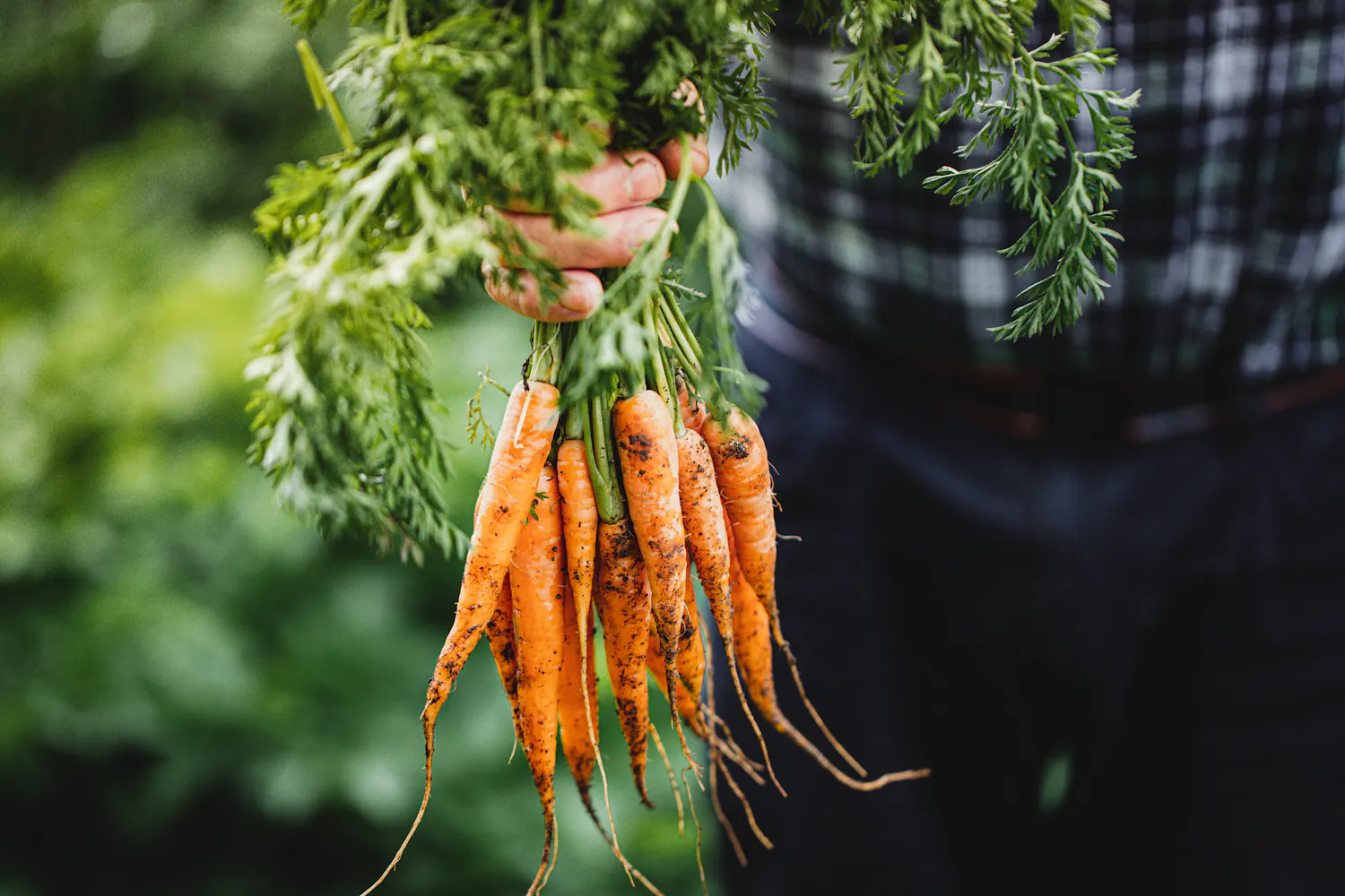 Quels sont les aliments les plus riches en bêta-carotène ?